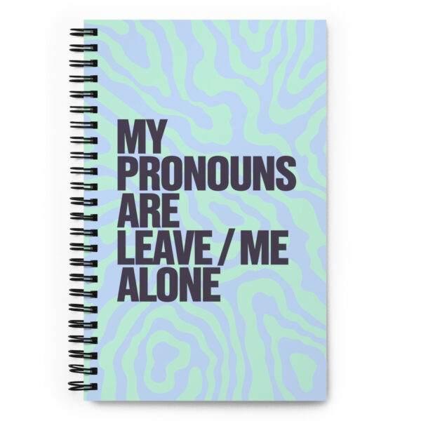 Pronouns Notebook